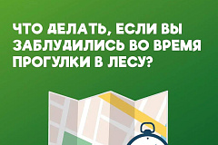 Когда лес становится лабиринтом