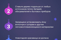 Новогодняя красавица