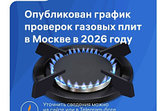 Опубликован график проверок газовых плит в 2026 году