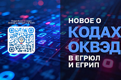 ФНС России напоминает, как вносятся коды ОКВЭД в реестры ЕГРЮЛ и ЕГРИП